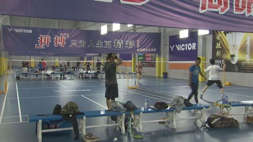 愛(ài)打羽毛球的你,崇明這里多了個(gè)羽毛球館
